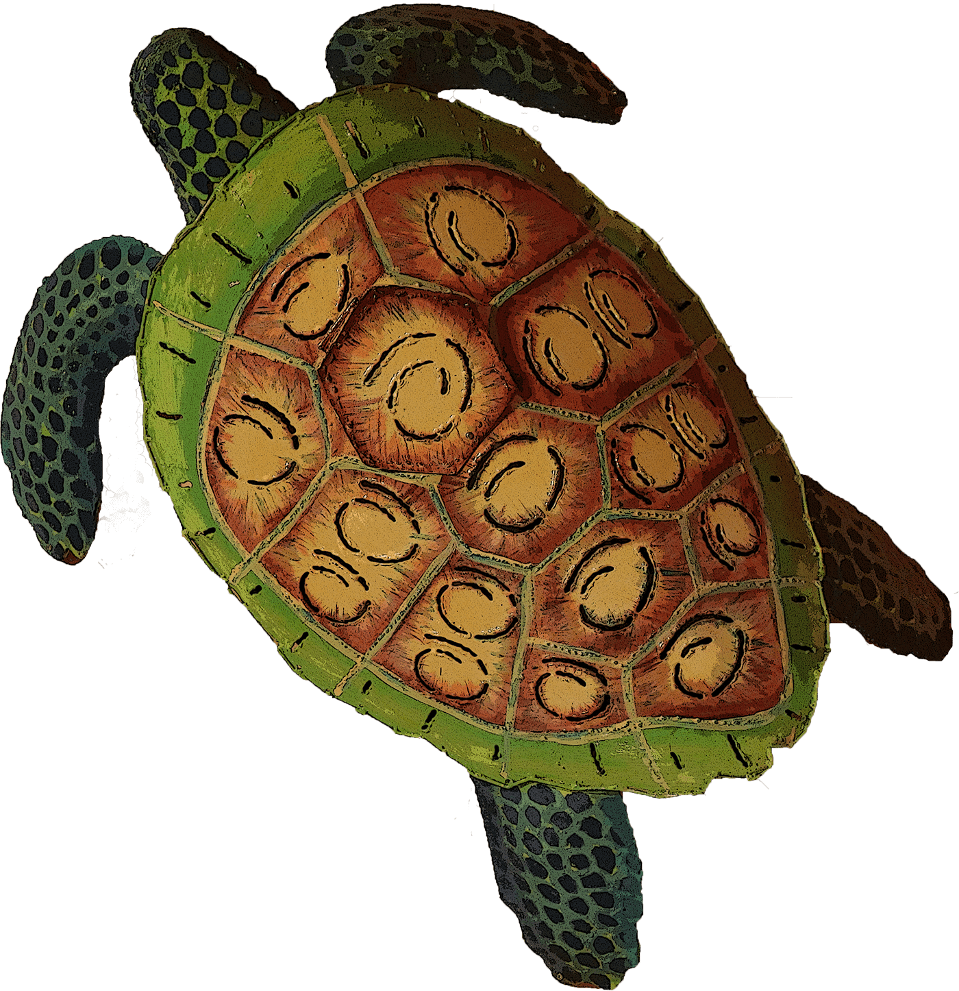 A faded image of a turtle illustration
